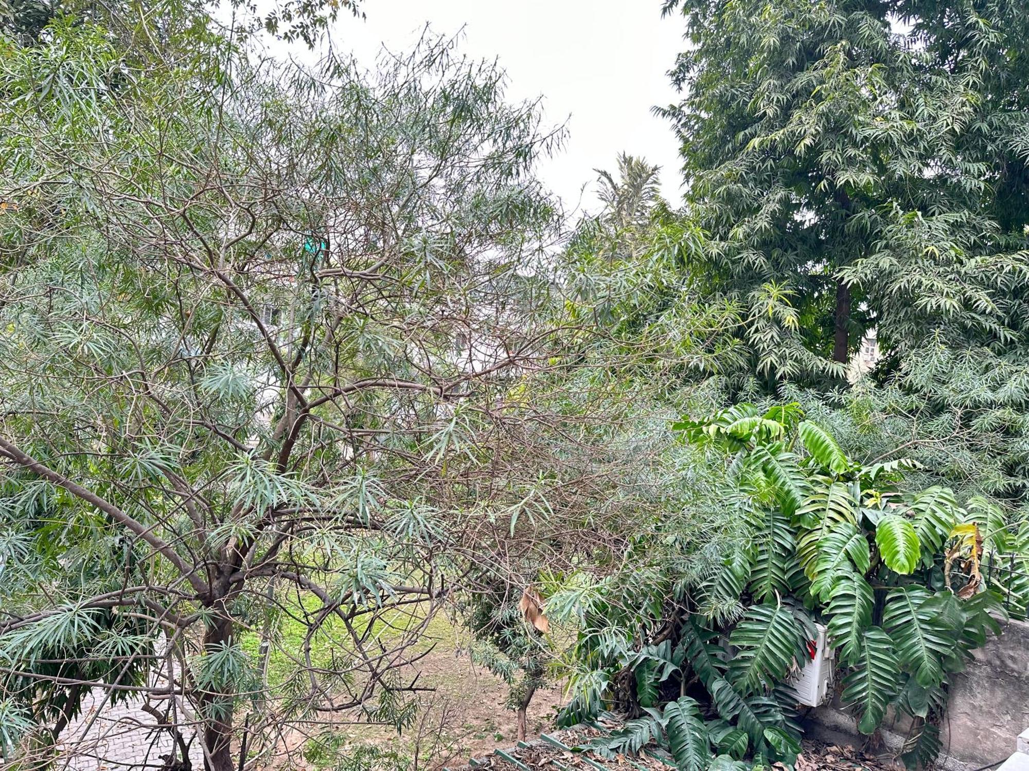 Grove Residency Hauz Khas New Delhi Couple Friendly酒店 外观 照片